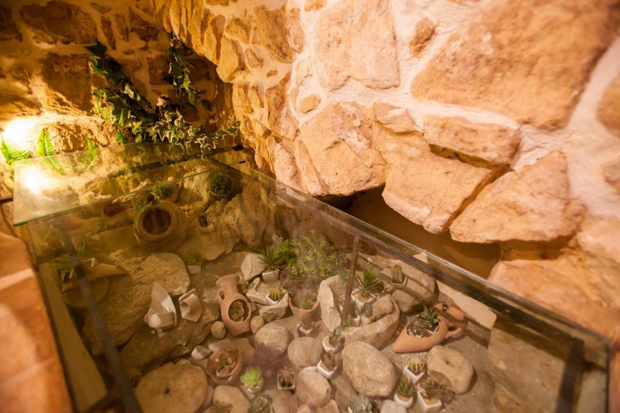 Case-Grotte Degli Avi, Esperienza Abitativa In Grotta 莫迪卡 外观 照片